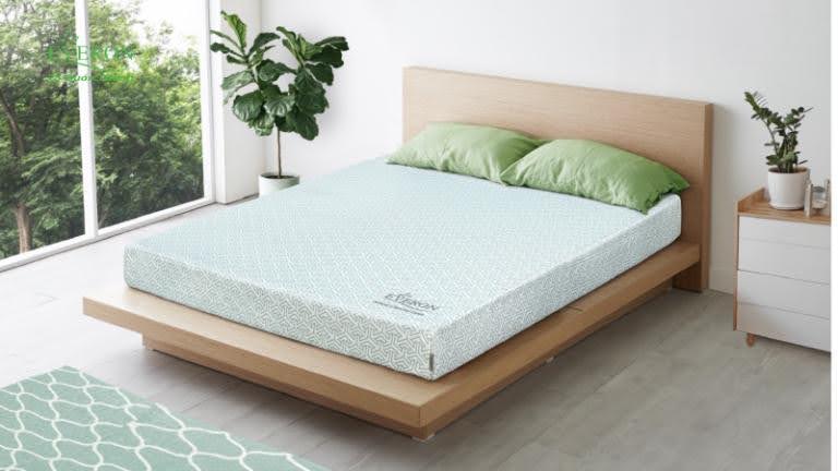 Mua hàng chính hãng tại Daily Everon